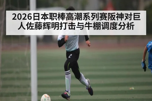 2026日本职棒高潮系列赛阪神对巨人佐藤辉明打击与牛棚调度分析 | HG